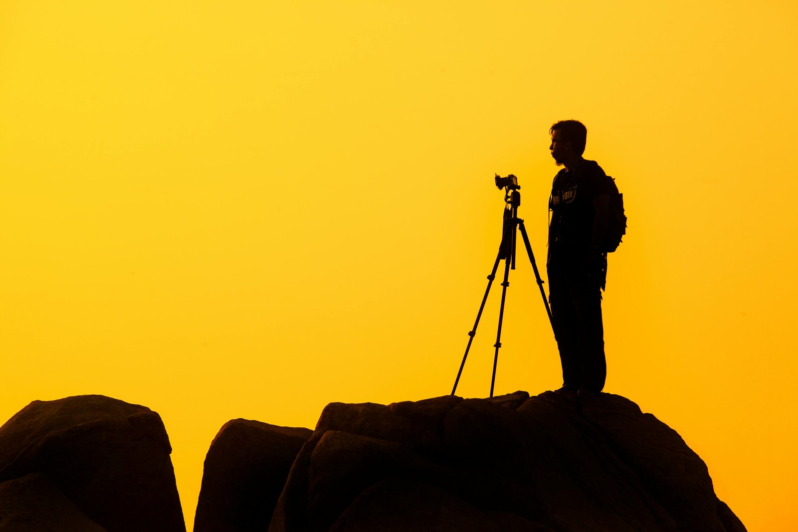 In the age of social media and the quest for the perfect Instagram shot, gym photography has become increasingly popular among fitness enthusiasts. Whether you're a seasoned gym-goer or just starting out on your fitness journey, capturing your workouts through photography can be a fun and rewarding experience.